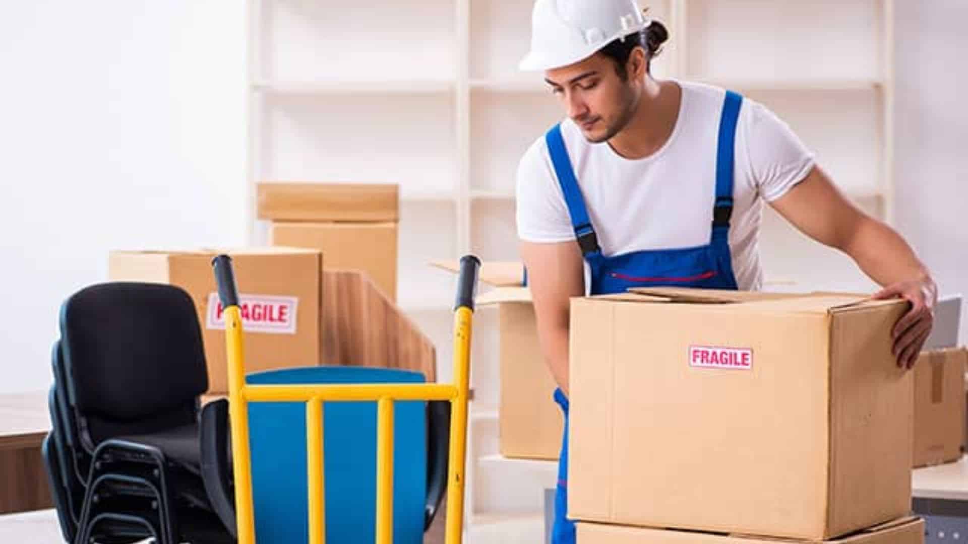The Best movers and packers