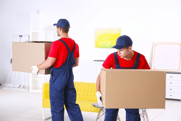 Movers and packers in Duabi