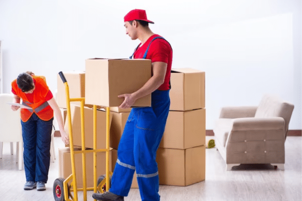 How to Choose the Right Moving Company for Your Needs?