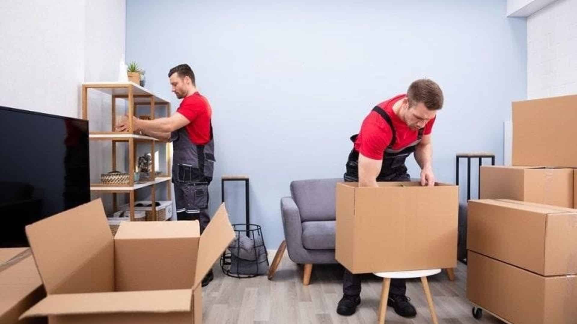 The Role of Professional Office Movers