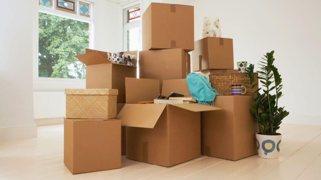 What Are the Key Questions to Ask Movers in Dubai Before Hiring Them